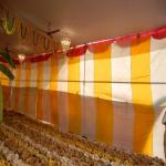 Vraj-Yatra-2014- (2900)